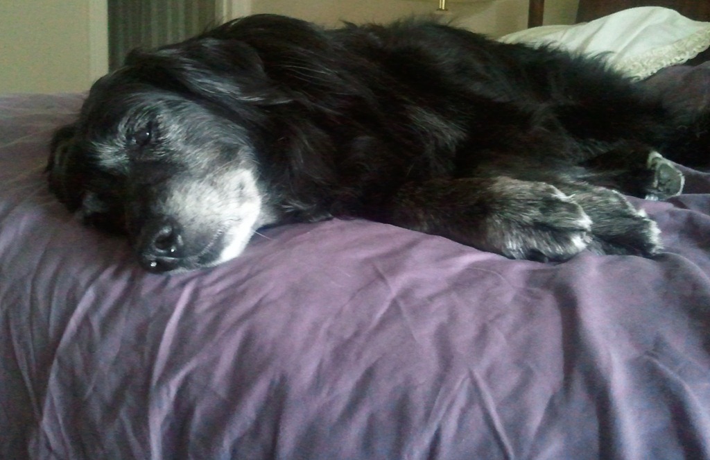 Willa Resting